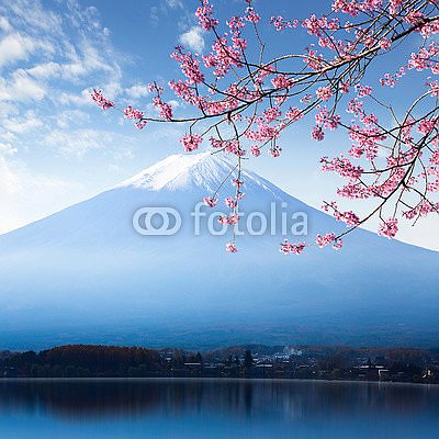 Гора Фудзи и вишни на озере Кавагутико