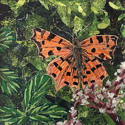Постер Адамсон Кирсти (совр) Flutter - Comma Butterfly On Japonica Постер Адамсон Кирсти (совр) Flutter - Comma Butterfly On Japonica