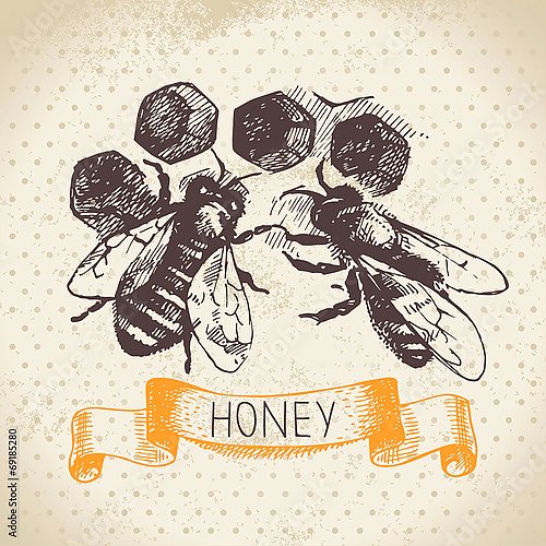 Иллюстрация с медовыми сотами и пчелами