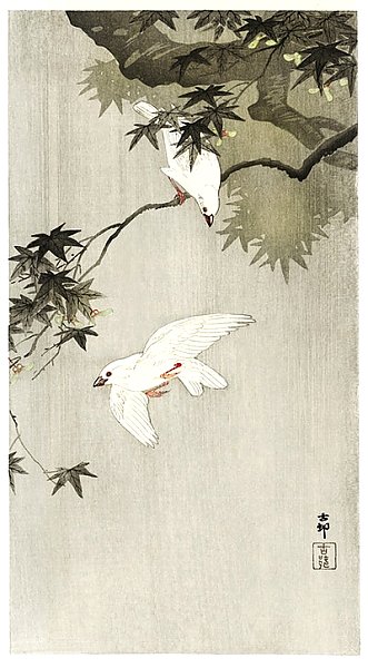 Птицы под дождем (1900 - 1936)