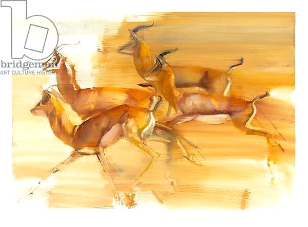 Running Gazelles, 2010
