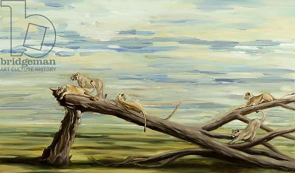 lions on tree, 2014,
