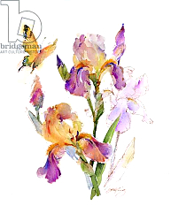 Постер Килинг Джон (совр) Iris with yellow butterfly, 2016, Постер Килинг Джон (совр) Iris with yellow butterfly, 2016,