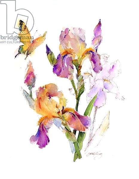 Iris with yellow butterfly, 2016,