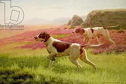 Постер Берд Джон Харрингтон Pointers in a Landscape, 19th century Постер Берд Джон Харрингтон Pointers in a Landscape, 19th century