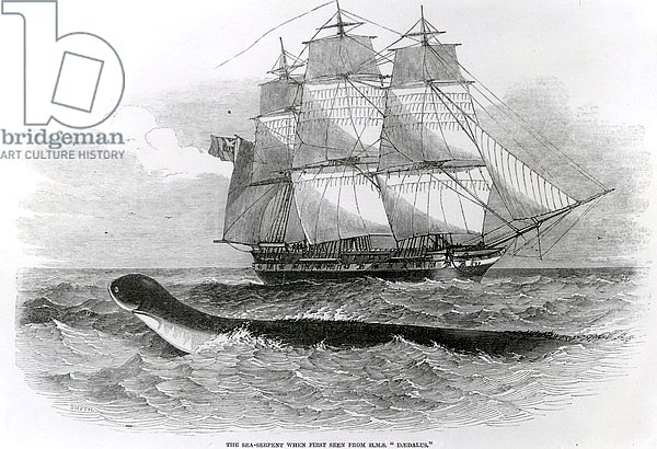 The Great Sea-Serpent when First Seen from H.M.S. Daedalus