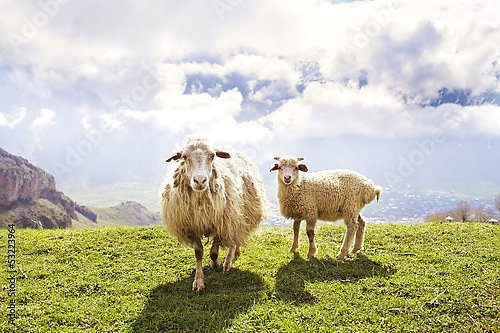 Как сделать большую овцу из папье-маше, труб и мусорного пакета