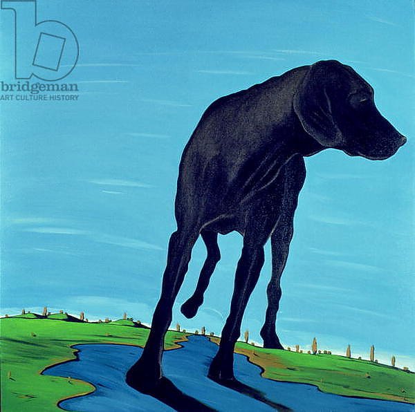 Joe's Black Dog, 2000