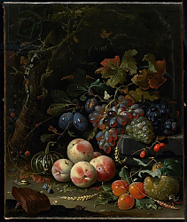 Постер Миньон Абрагам Still Life with Fruit, Foliage and Insects, c.1669 Постер Миньон Абрагам Still Life with Fruit, Foliage and Insects, c.1669