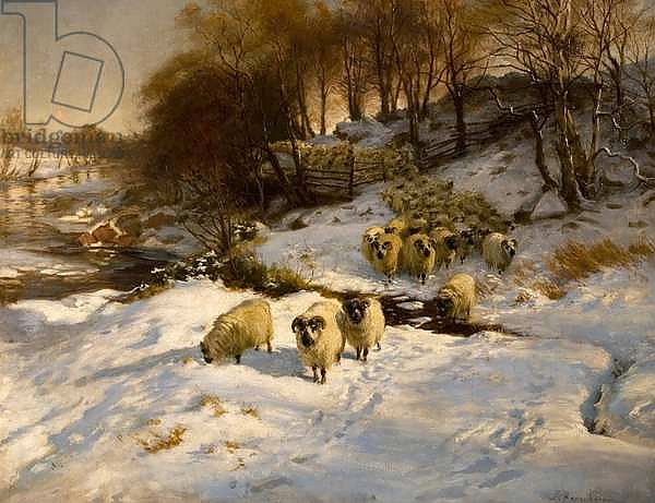 Sheep in Snow, 1935