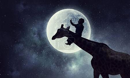 Ночная сказка