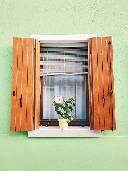 Цветок на окне с деревянными ставнями