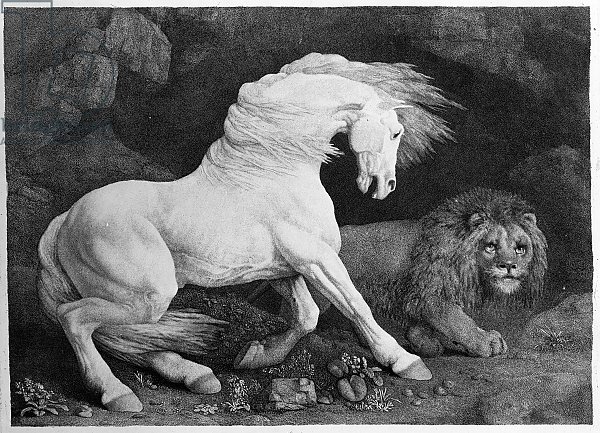A Horse Affrighted by a Lion, engraved by the artist, 1788
