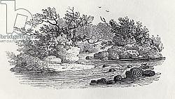 Постер Бевик Томас A Bend in the River from 'History of British Birds, Volume 2: Water Birds', 1804 Постер Бевик Томас A Bend in the River from 'History of British Birds, Volume 2: Water Birds', 1804