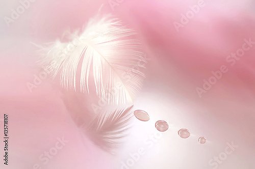 Белое перо с каплями росы на розовом фоне