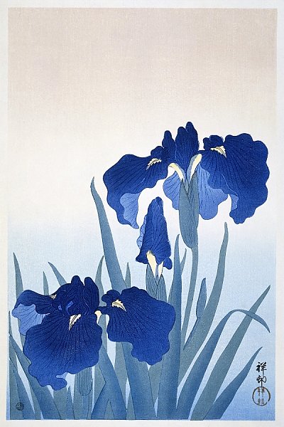 Цветы ириса (1925 - 1936) Охары Косон