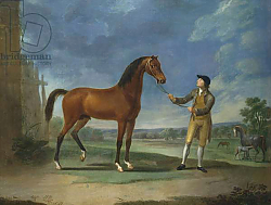 Постер Гилпин Соури (лошади) An Arab stallion held by a groom Постер Гилпин Соури (лошади) An Arab stallion held by a groom