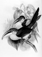 Черно-белое