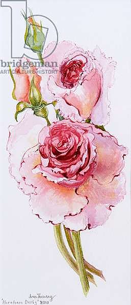 Roses, 2010, watercolour
