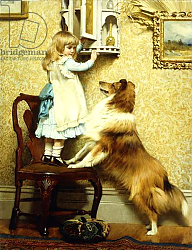 Постер Брабер Шарль Little Girl and her Sheltie, 1892 Постер Брабер Шарль Little Girl and her Sheltie, 1892