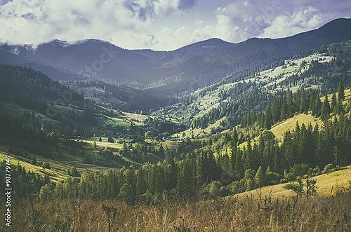 Карпатский горный пейзаж