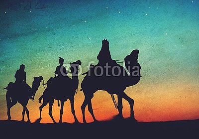 Силуэты верблюдов на фонезвездного неба