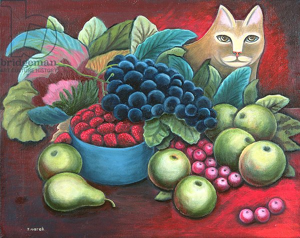 Cat and Fruit