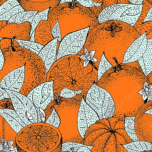 Эскиз с апельсинами