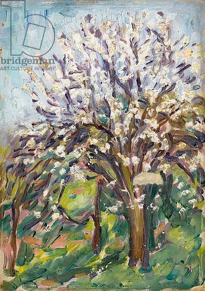 Almond Blossom on a sloping verge, c.1910