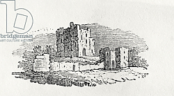 Постер Бевик Томас Castle Ruins from 'History of British Birds and Quadrupeds' Постер Бевик Томас Castle Ruins from 'History of British Birds and Quadrupeds'