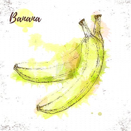 Акварельный банановый эскиз