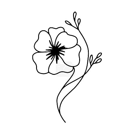 Цветок нежности