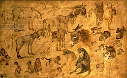 Постер Брейгель Ян Старший Study of Donkeys, Kittens and Monkeys, 1616 Постер Брейгель Ян Старший Study of Donkeys, Kittens and Monkeys, 1616