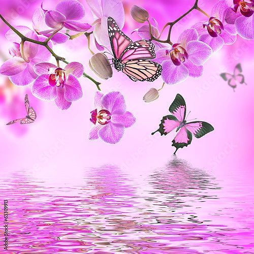 Бабочки и орхидеи в розовом оттенке