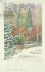 Постер Делеворис Лиллиан Front Garden in Heavy Snowstorm Постер Делеворис Лиллиан Front Garden in Heavy Snowstorm