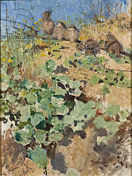 Постер Лильефорс Бруно Nestlings of Red-Backed Shrike, 1887 Постер Лильефорс Бруно Nestlings of Red-Backed Shrike, 1887
