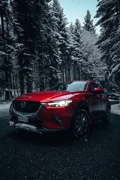 Красный автомобиль в зимнем лесу