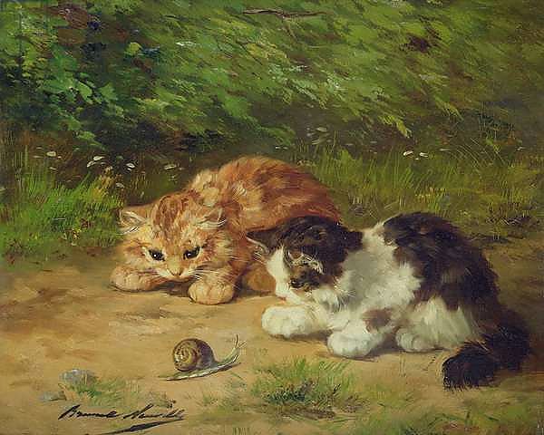 Kittens and snail