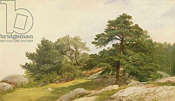 Постер Кенсетт Джон Фредерик Study for Trees on Beverly Coast Постер Кенсетт Джон Фредерик Study for Trees on Beverly Coast