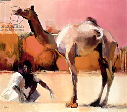 Постер Адлингтон Марк (совр) dsu and Said, Rann of Kutch, 1996 Постер Адлингтон Марк (совр) dsu and Said, Rann of Kutch, 1996