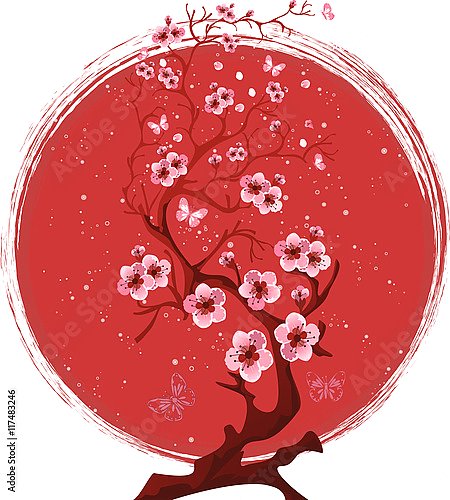 Цветущее дерево сакуры на фоне красного солнца