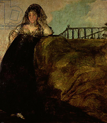 Постер Гойя Франсиско (Francisco de Goya) Leocadia Zorilla, the Artist's Housekeeper, c.1821 Постер Гойя Франсиско (Francisco de Goya) Leocadia Zorilla, the Artist's Housekeeper, c.1821