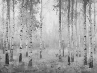 Черно-белое