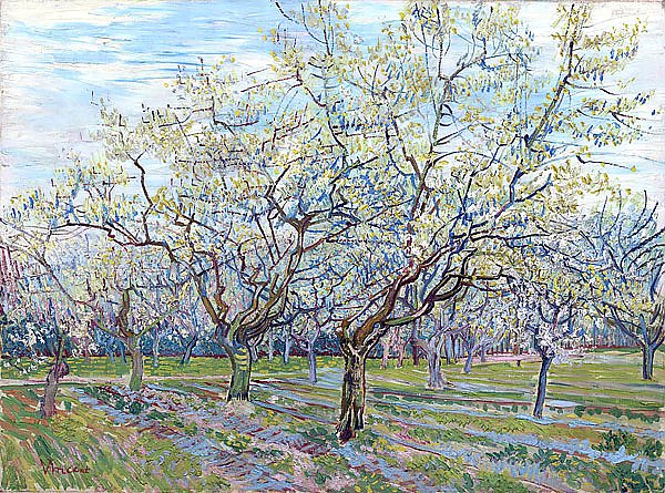 Сад с цветущими сливовыми деревьями, 1888