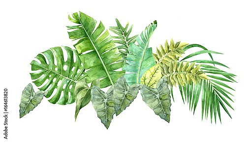 Акварель с тропическими листьями