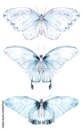 Акварельные голубые бабочки