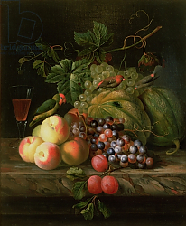 Постер Богдани Якоб Still life of fruit on a ledge with Parakeets Постер Богдани Якоб Still life of fruit on a ledge with Parakeets