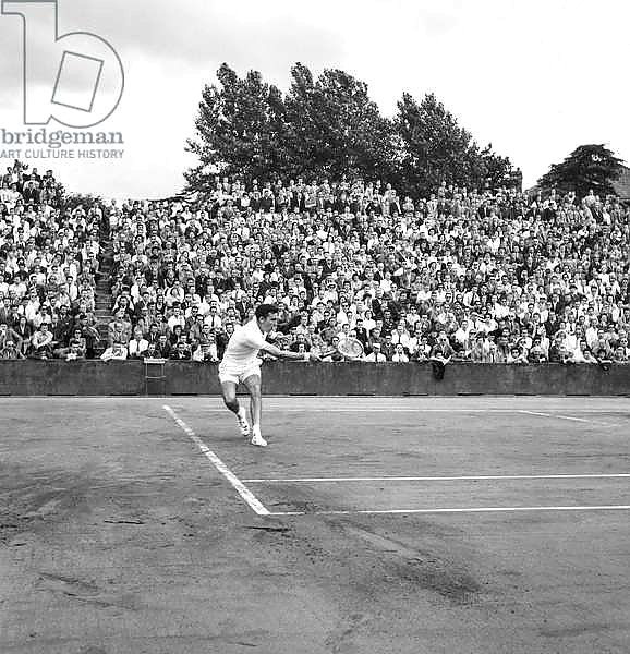 The English tennisman Davies