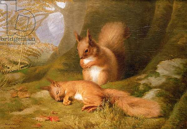 Squirrels in a Wood, 1874