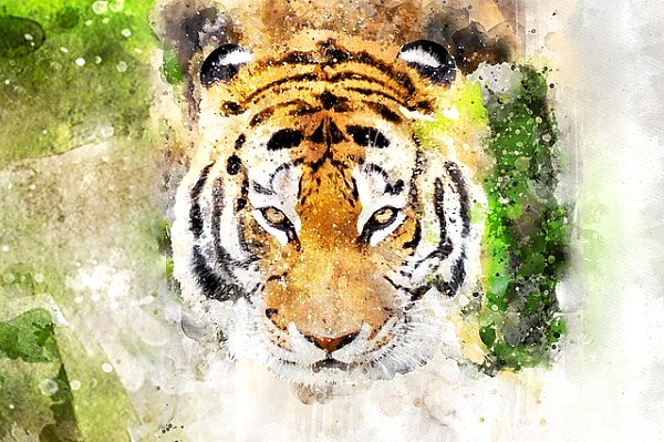 Акварельный портрет тигра 1